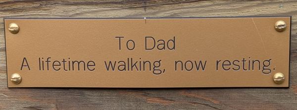 PXL 20251206 114814699